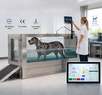 Cinta de Correr Acuática Profesional de Acero Inoxidable para Perros, Certificación CE, Máquina de Rehabilitación Veterinaria para Hidroterapia, Precio de Fábrica