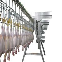 Abattoir automatique Traitement de la volaille Équipement d'abattoir Plucker Scalder Système d'abattage des poulets de chair