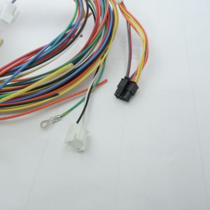 <span class=keywords><strong>2</strong></span> 3 4 6 8 10 12 14 16 18 20 POS konut çift sıralı konnektör molex 5557 3.96mm pitch konnektörü 20AWG otomotiv teli kablo demeti - Product Image 5