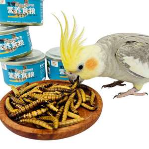 Vers de farine frais de marque <span class=keywords><strong>WTX</strong></span>, 35g, qualité supérieure, riche en protéines, pour l'alimentation des reptiles, des oiseaux et des poissons - Product Image 4