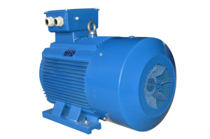 Motor Asíncrono Trifásico de CA Tipo Ardilla de 50Hz y 55KW con Calidad y Eficiencia Garantizadas, Personalizable, IP55 - Product Image 1