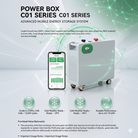 Batterie LiFePO4 51,2 V 300 Ah 15 kWh avec protocole CAN, compatible directe pour onduleurs Growatt et Deye PYLON 20+