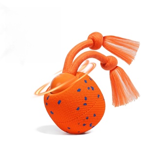 E-TPU Material Eco-friendly Interactive <b>Dog</b> Toy Wicked <b>Ball</b> Rolly Shell - Product Image 1
