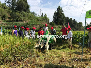 โรงงานซัพพลาย Crawler ประเภทมินิข้าวรวมเครื่องเก็บเกี่ยวราคาถูกกว่าดีเซลรวมเครื่องสีข้าว 2 แถว 80 ซม.2% - Product Image 5