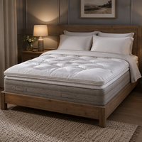 Surmatelas en coton de style hôtel 5 étoiles, épaissi, chaud, respirant, lavable, anti-acariens, antibactérien, usage hospitalier