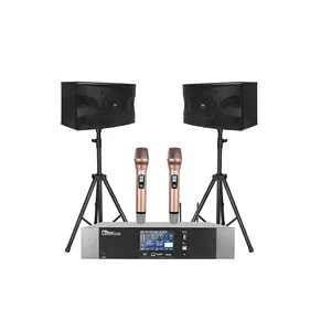 Hoge Kosten Prestaties Karaoke Set Audio System Sound Ktv Effector Geluid Systeem