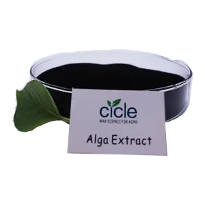 Alge 50 Algen extrakt Lieferant organischer Dünger Algen extrakt löslich hohe Qualität