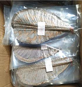 Estera desechable para barbacoa, para restaurante japonés, <span class=keywords><strong>Sushi</strong></span>, Sashimi, platos de hojas secas al sol, hojas naturales, Hackberry - Product Image 6