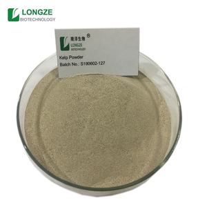 Натуральный экстракт водорослей из ламинарии, порошок фукоидана - Product Image 5