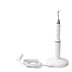 Cortador de punta gútata, lápiz eléctrico de calentamiento para relleno de conductos radiculares dentales, herramienta para el cuidado de las encías, color oro blanco - Product Image 1