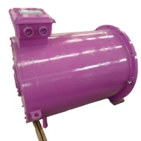 Turbine éolienne verticale de haute qualité, générateur à faible vitesse, alternateur vertical, produit de vente en gros, w