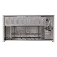 Unit Bar Counter Modular Baja Tahan Karat 304 316 Kustom, Unit Wastafel Bawah Bar, Rak Es Speed Rail 165L, Dapur Luar Ruangan Modular
