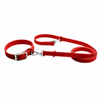 Ensemble collier et laisse pour chien en PVC de qualité supérieure, imperméable, durable, réglable, pour la promenade des chiens, OEM personnalisé
