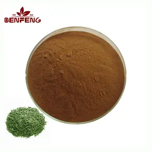 Fornitura di fabbrica di tè polifenoli in polvere ISO miglior prezzo estratto di tè verde polifenoli estratto di tè verde 50%-98%