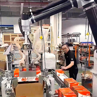 Robot Paletizador Colaborativo de Fácil Programación, Equipo de Apilamiento de Cajas y Bolsas Accionado por Servomotores