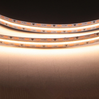 Bande lumineuse Led flexible haute densité 10mm 700led/m 3000K DC24V 2210 avec ul ce rohs 2 ans