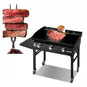 Outdoor Mini BBQ Grill 2-Burner Stainless Steel LPG Gas Plancha with Folding Design Galvanized Cast Iron for Food Use