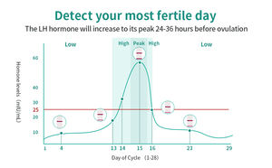 Carte de prédiction d'ovulation en une étape de haute précision 50 grands paquets bandelettes de test LH à usage domestique pour l'urine pour la détection de la grossesse - Product Image 6