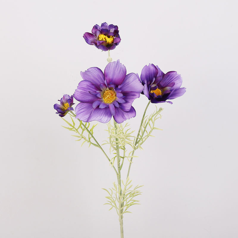 สีม่วงสีฟ้า