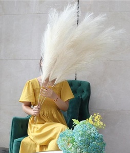 Temi di nozze Boho fai-da-te composizione floreale ad arco sfondo pampa conservato a secco decorazioni floreali grande grande soffice <span class=keywords><strong>erba</strong></span> secca pampa - Product Image 6