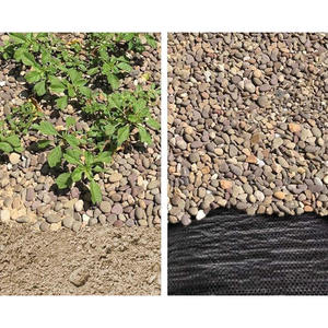 CARDINALE Black Mulching Mat 3x100 Mt Plegado 1,5 Mt Herramienta para torneado de jardín - Product Image 3