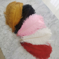 Plumes d'autruche blanches teintées en gros, 40-45 cm (16-18 po), pour fêtes, carnavals, artisanat DIY, décoration de vêtements de scène