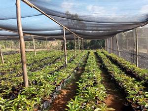 Uv ब्लैक शेड नेट ग्रीनहाउस गार्डन नेटटिंग सन सुरक्षात्मक उत्पाद प्रकार - Product Image 5