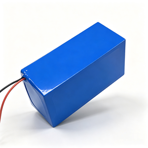 Custom EU Interface Charging Connector <b>24v</b>/48v Lithium Lifepo4 Bateria De litio <b>Battery</b> Pack for Portable Testing Equipment - Product Image 3