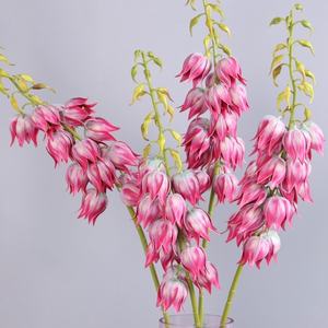 Flores de <span class=keywords><strong>Campanula</strong></span> Rosa de 98 cm en Campanilla Artificial de PU para Arreglos Florales, Decoración Navideña del Hogar y Bodas - Product Image 1