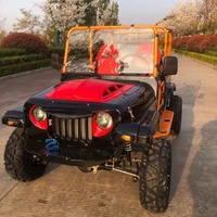 Mini Jeep Dune Buggy à Essence/Électrique au Design Populaire, 2/5 Places, 150cc/300cc/200cc, pour les Attractions Touristiques, les Complexes Hôteliers et les Voyages de Loisirs