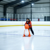 Équipement de patinoire double usage, aide à l'activité parent-enfant, poussoir d'entraînement assis, assistant de patinage dinosaure en HDPE
