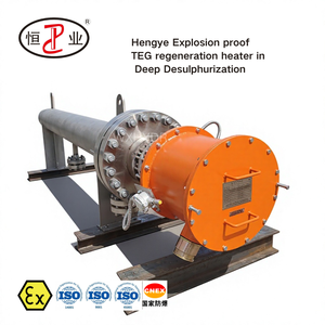 Préchauffeur de <span class=keywords><strong>gaz</strong></span> combustible 270 kW pour systèmes auxiliaires de turbines à <span class=keywords><strong>gaz</strong></span>, chauffages électriques en ligne antidéflagrants pour le <span class=keywords><strong>chauffage</strong></span> du <span class=keywords><strong>gaz</strong></span> de process - Product Image 3