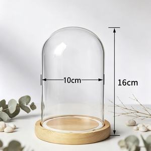 Cúpula de Vidrio Vacía de Lujo al por Mayor, Cúpula de Vidrio a Precio Económico, Cúpula de Vidrio con Base de Corcho - Product Image 3