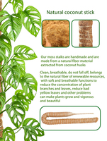 Poste trepador de coco Natural P11, poste de musgo flexible, plantas, soporte para vides, palitos de cultivo, palo de palma de coco, estaca para plantas de jardín