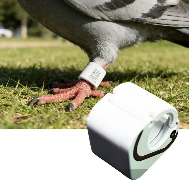 Small GPS Tracking Device Anti-lost Pigeon GPS Navigation IP68 Waterproof Bird Positioning Foot Ring Racing Pigeon GPS Tracker