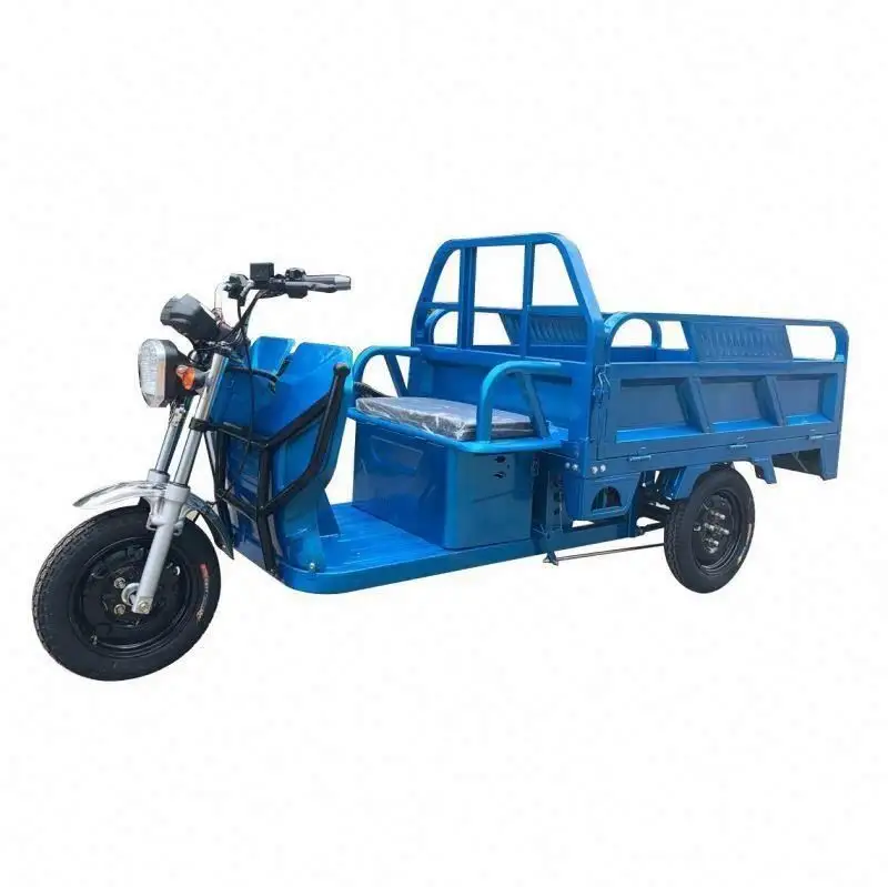 Ghana adult cargo 48v electric bike three wheels Rickshaw Electric Tricycle