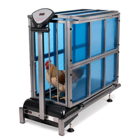 Machine d'entraînement motorisée pour poulets avec une vitesse de 1 à 6 kilomètres par heure et cadre fermé, tapis roulant pour poulets