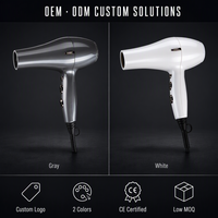 Sèche-cheveux 3000W avec fonction air froid, moteur personnalisé pour usage domestique - Vente flash