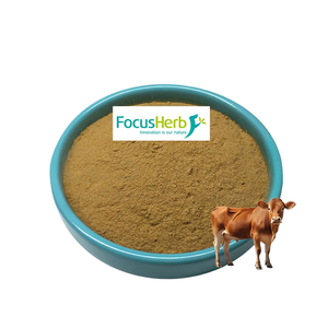 FocusHerb Poudre de pancréas de bœuf biologique hydrosoluble jaune clair-brun, durée de conservation de 2 ans - Product Image 1