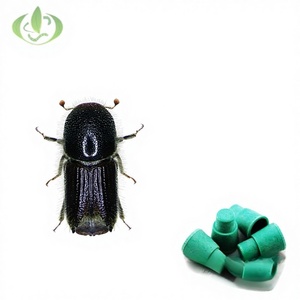 Phéromone <span class=keywords><strong>d</strong></span>'insecte Nong Xiaoer pour l'attraction du scolytus à huit dents (Ips Subelongatus) – Accessoires biologiques sud-américains - Product Image 3