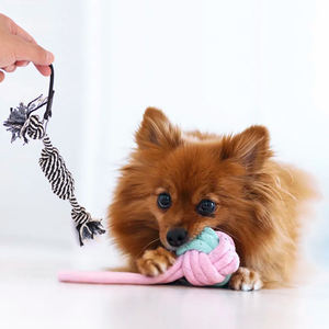 Açık eğitim için ayarlanabilir teleskopik çubuk paslanmaz çelik köpek ve kedi oyuncak interaktif flört oyuncak - Product Image 5