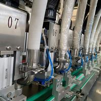 Machine de remplissage de shampoing à pompe à engrenages servo-contrôlée, 2000 bouteilles par heure, équipement automatique de mise en bouteille de liquides chimiques quotidiens