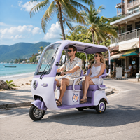 Tricycle électrique à trois roues certifié EEC pour le tourisme et le transport local de passagers 800W à deux moteurs