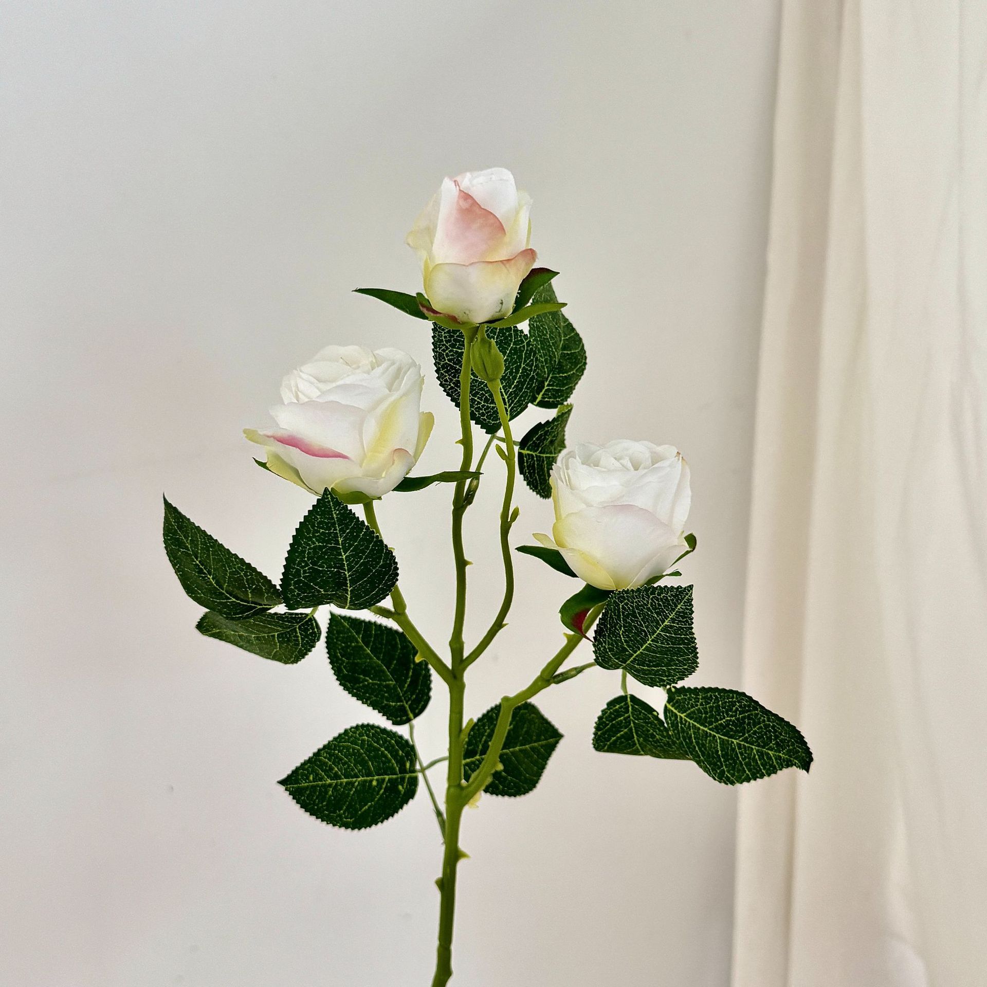 Blanc d'automne