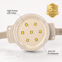 Lumières de Noël personnalisées en gros, étanches, à points lumineux permanents, LED RGBW pour extérieur, en matériau PC, pour aménagement paysager