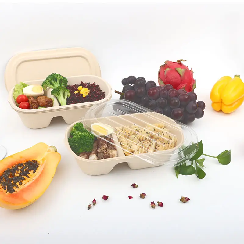 Warme Lebensmittel Mikrowelle Gefrier schrank sicher zwei Fächer abbaubare Einweg Maisstärke zum Mitnehmen Catering Lunchbox