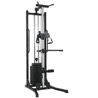 Machine de musculation multifonctionnelle pour la maison, pour la musculation du dos et des bras, construction métallique, pile de poids de 65 kg