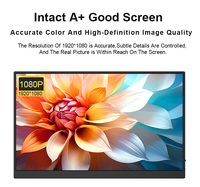 Moniteur portable professionnel Eimio 15,6 pouces LCD 1920*1080p 60Hz tactile Type-C H-IPS, extension d'écran pour ordinateur portable, Plug & Play, OEM