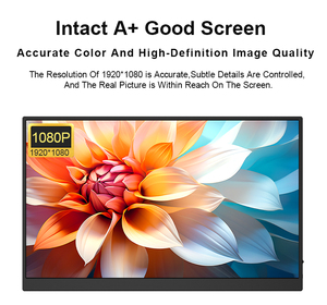 צג נייד עסקי Eimio בגודל 15.6 אינץ' LCD ברזולוציה 1920*1080p וקצב רענון 60Hz עם מסך מגע, חיבור <span class=keywords><strong>Type</strong></span>-<span class=keywords><strong>C</strong></span>, פאנל H-IPS, הרחבת מסך למחשב נייד, Plug & Play, OEM - Product Image 5