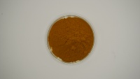 Extrait de plante, compléments alimentaires à base de plantes, poudre d'extrait de graines de litchi, qualité alimentaire, extraction par solvant, extrait végétal